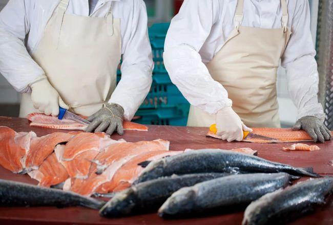 新加坡食品局表示尚无证据显示新冠通过三文鱼传播,建议生肉生食应