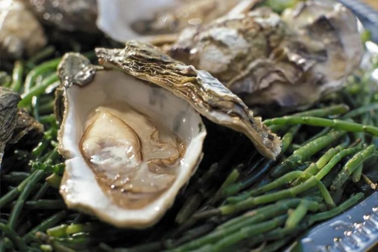 牡蛎等贝类海产品和生食的蔬果类是引起暴发的常见食品.